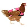 Omlet Pink High-Vis Chicken Jacket