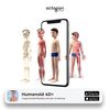 Humanoid 4D+ Interactive Human Anatomy Model – 3D STEM Learning Tool with Detailed Body Systems and Audio Narration