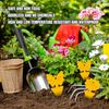 96PCS Fruit Fly Sticky Traps, Gnat Traps Insect Trap for Plants Kitchen Indoo...