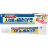 Tufdent Dedicated Denture Toothpaste, Mint Scent, 3.4 oz (95 g)