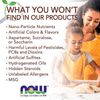 NOW FOODS Women's Righteous Raspberry Tea 24 Tea Bags