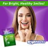 225 Piece BrightWorks Fresh Mint + Whitening Dental Flossers with Plant-Based Handles, Super-Strong Floss for Adults and Mint-Flavored Floss with Micro-Crystals, 75 Count (Pack of 3)