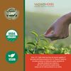 Kutaj (Holarrhena Antidysenterica, Kutaja) ~ 100 vegicaps ~ Safety Tested & wildcrafted ~ Ships from California ~ Premium Quality