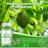 2Pack Soursop Graviola Gummies Soursop Leaves Extract Antioxidant Immune Support