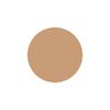 ANNA SUI Liquid Eyebrow 0.6ml 04