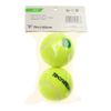 Technifibre TBP2GR1 Tennis Balls, Stage 1, 2 Balls