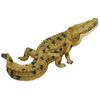 ania as – 32 Saltwater Crocodile