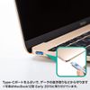 Sanwa Supply SLE-46S-BL Type C Port Mount Security (eSecurity)