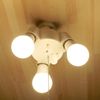 3-light pendant light with jujube bulb socket (direct ceiling mount) (1 piece, no bulb)