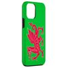 iPhone 14 Pro Max Welsh Flag Red Dragon in red & white Case