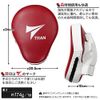 Punching Mitt, Punching Gloves, For Boxing, TRAN, Kickboxing, Martial Arts, Karate, Taekwondo, Practice, Set of 2, One Size Fits Most