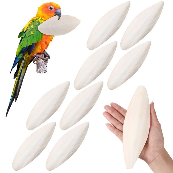 Fabbay 8 Pcs 7.5''-8'' Birds Cuttlebone Cuttlefish Bone Chewing Bird Toys Calcium Cuttlebone Bulk for Cockatiels Tortoise Reptile Turtles Snails Parakeet Treats Supplies