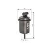Bosch F3015 - Gasoline Filter Car