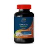 regulate sodium levels - Odorless Garlic & Parsley 600mg 1B - thiamin supplement