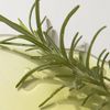 Rosemary AHA Night Serum 30ml