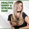 CHI Tea Tree Oil Shampoo, 739 ml
