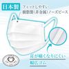 White Cross Made in Japan Surgical Mask Premium Regular 50 Sheets JIS Standard Medical Mask Class II