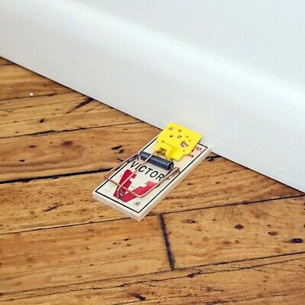 Victor Easy Set M035 Mouse Trap Pack  of 12