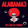 Hits and Exit Wounds