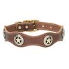 Weaver Pet Lone Star Legend Collar, Sunset, 1 x 23-inch