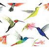Hummingbirds Printed Tissue Paper 500 x 750mm 50 Sheets