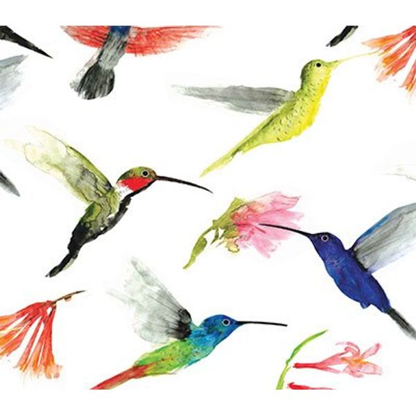 Hummingbirds Printed Tissue Paper 500 x 750mm 50 Sheets