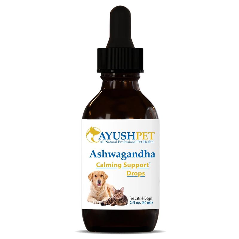 Cat Anxiety Relief With Ashwagandha And Jojoba Oil