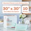 McKesson Super Underpads, Incontinence Bed Pads 30" x 30" [10 Count], Moderate Absorbency, Disposable Chux Pads for Adults, Elderly, and Baby, Pee Pads