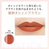 Chifure Lipstick Y 751 Brown