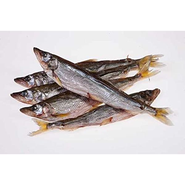 Gourmet Market Dried Salted Koryushka (Smelts) Fish {Jerky} Premium Quality