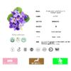 AndSH 100% Pure Violet Leaf Absolute 5ml Essential Oil