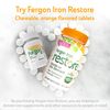 Fergon High Potency Iron Supplement Tablets, 100 Count, Pack of 2