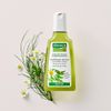 Rausch Swiss Herb Care Shampoo 200 ml shampoo