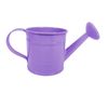 [Purple Can Only] Mini Functional Watering Can and Tools Optional! Actually Works!
