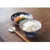 Fool Hasami ware small shop Iroha 土瓶 BS – 62