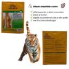 iger Balm Pain Relieving Patch Large 4 Each (Pack of 11)