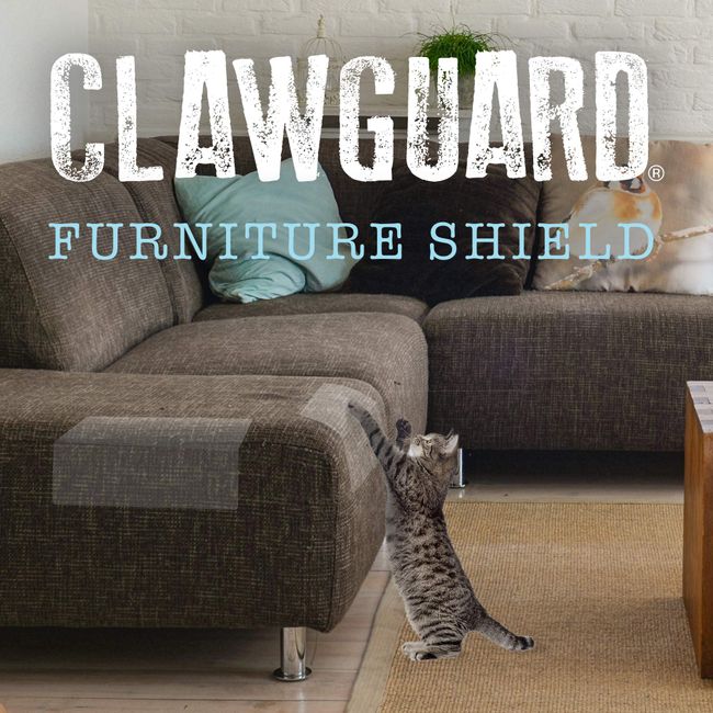 CLAWGUARD Marine Grade Furniture Shields The Ultimate Clear Cat Scratch  Pads to Protect & Cover Couch/Sofa/Chair/Upholstery, Crystal Clear 5.5 x