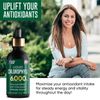 Chlorophyll Liquid Drops 6000 mg - Premium Liquid Chlorophyll Supplement - All-in-One Antioxidant for Immune Boost, Energy Increase, Digestion Support & Fast Detox - Non-GMO, Vegan