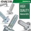License Plate Screws (100 each/8 different) for Auto Dealers - Bulk quantity
