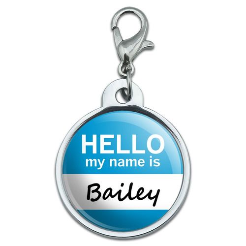 Chrome Plated Metal Small Pet ID Dog Cat Tag Hello My Name is AM-BA - Bailey