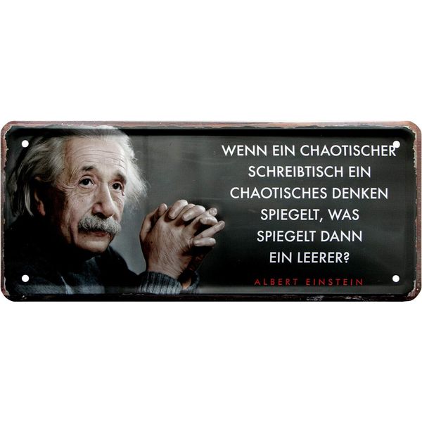 Albert 2056 Einstein Tin Sign 28 x 12 cm Chaotic Design