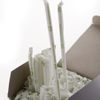 Biodegradable Clear Disposable Jumbo Drinking Straws Wrapped Compostable 3000pck