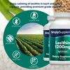 Lecithin 1200 mg Capsules | High Purity Soy Lecithin | 240 Capsules | GMP Certified & Made in the UK | Naturally Available in the Body | Essential Source of Phospholipids