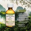 De La Cruz Pure 2 OZ Lavender, Orange, Eucalyptus, Tea Tree, Peppermint Oils (5)