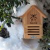 Basic Ladybug House Package by Prime Retreat