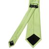 TIES R US Plain Light Sage Satin Classic Men's Tie
