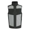 Regatta Professional Herren Men's E-volve 2 Layer Softshell Isolierte Bodywarmer, grau, 3XL
