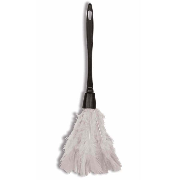 Forum Novelties Feather Duster (White) Accessory