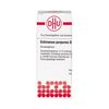 DHU Echinacea purpurea D4 Streukügelchen, 10 g Globuli