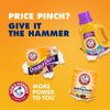 3 Pack - Arm & Hammer Pure Baking Soda, 13.5lbs.